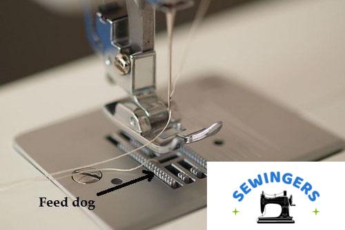 what-are-sewing-machine-feed-dogs